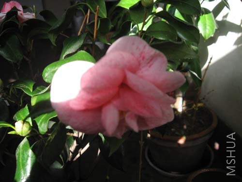��Ƭ 040.jpg