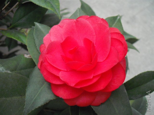 DSCF0113.jpg