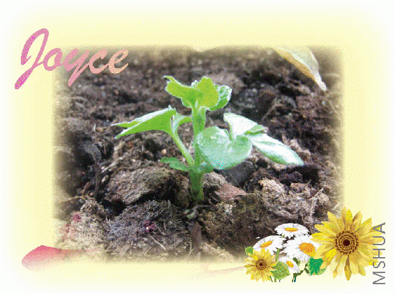 Mazury����~~~