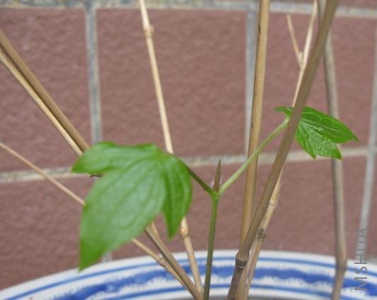 �۶Ϻ���������ˣ�