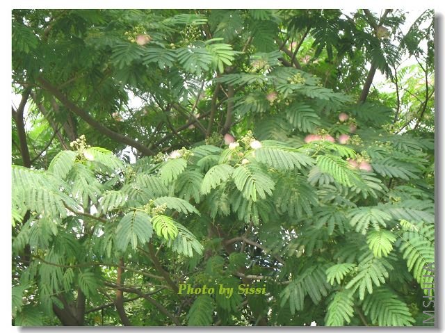 �������ֲ�֪������~