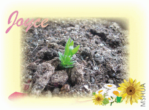 ����ż�����С��~����~~