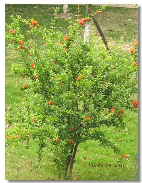 ¥���̵����ʯ��~