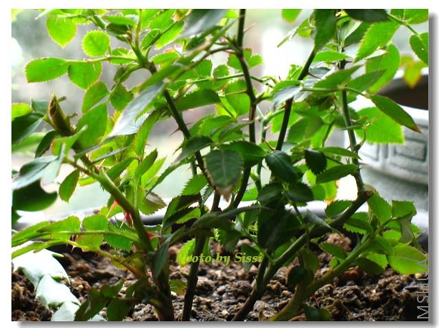 ̫�����ӵ�3����ѿ���ø��죬���첻�ϵ���~