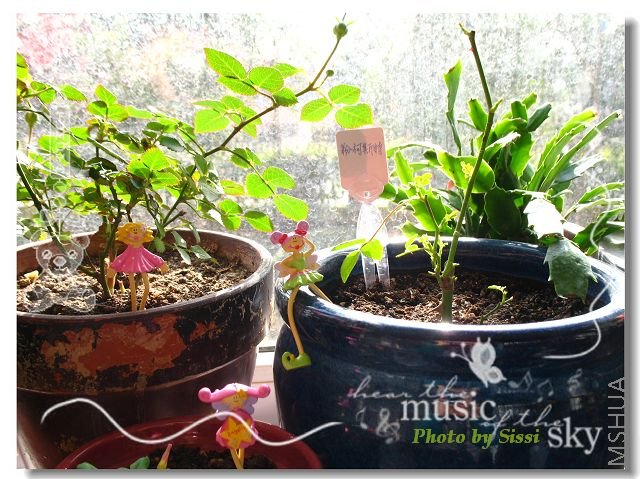 С�����Ӱ~