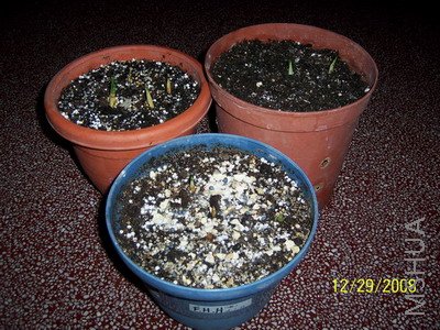 ��Ƭ 1401(400).jpg