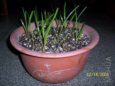 ��Ƭ 1066(400).jpg