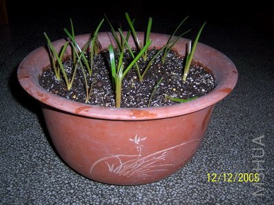 ��Ƭ 1063(400).jpg