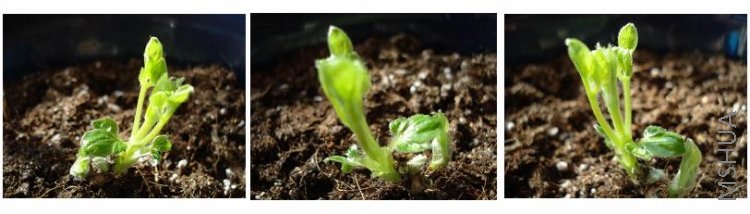 ��ͬ�Ƕȵ������ٺ١�����������