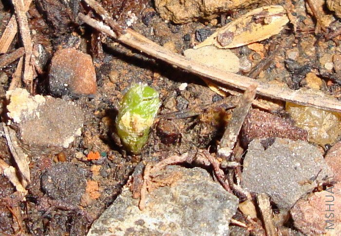 ��ϣ�����ܳ��Ŀ�Щ��