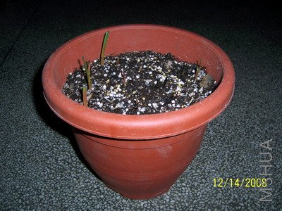 ��Ƭ 1068(400).jpg