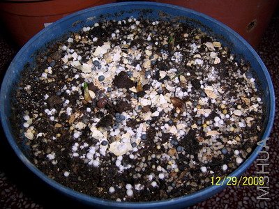 ��Ƭ 1403(400).jpg