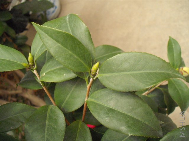DSCF0145.jpg