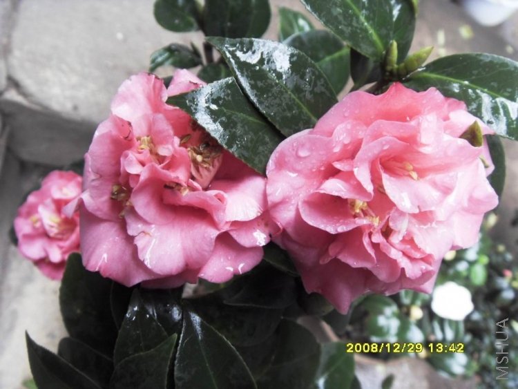 �۾�оʮ�˰�