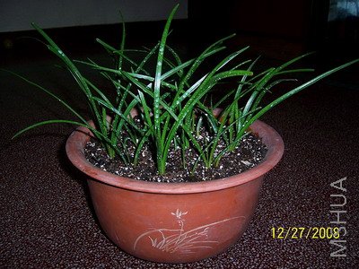 ��Ƭ 1104(400A).jpg