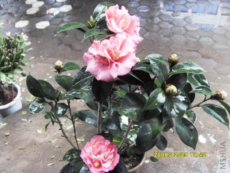 �۾�оʮ�˰�