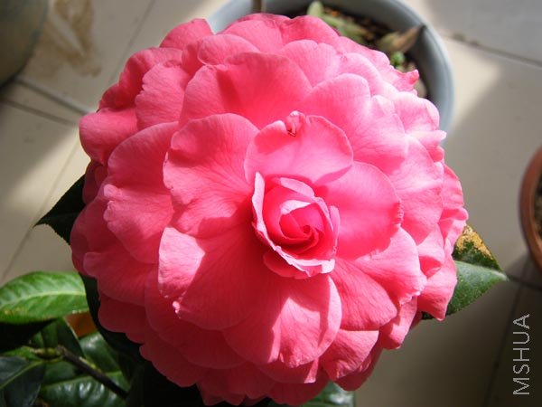 DSCF3380.JPG