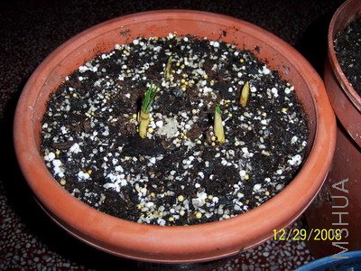 ��Ƭ 1404(400).jpg