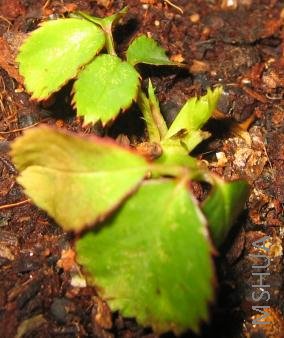 �м�ݵ��ĵط�������ѿ��������