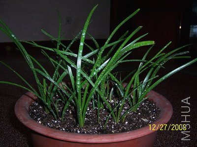 ��Ƭ 1106(400A).jpg