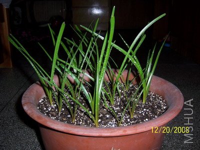 ��Ƭ 1074(400A).jpg