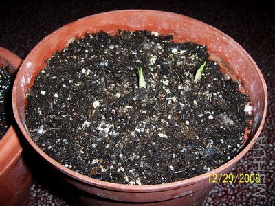 ��Ƭ 1406(400).jpg