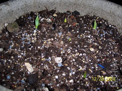 ��Ƭ 067(400).jpg