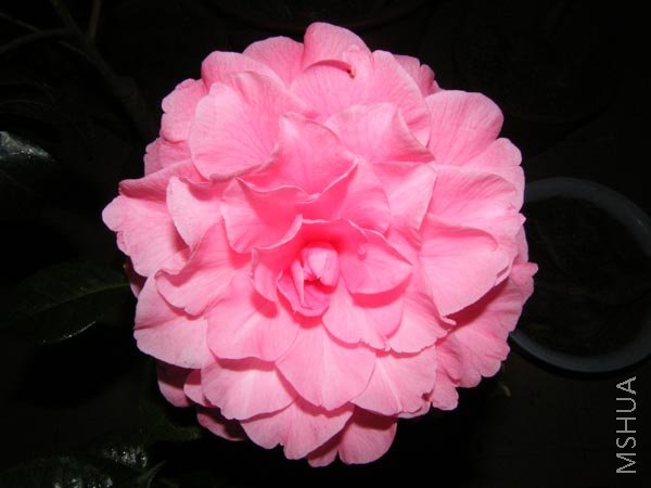 DSCF3384.JPG