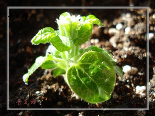 ��Ů��ԣ�����������ô���¡�