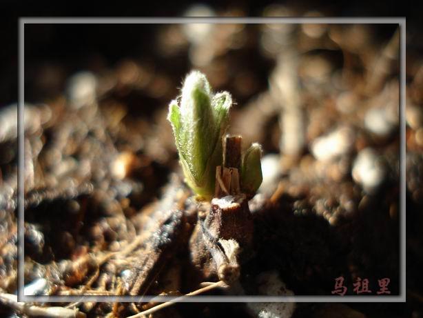 ���ź��񻹺��ʻ���ǲ���.......