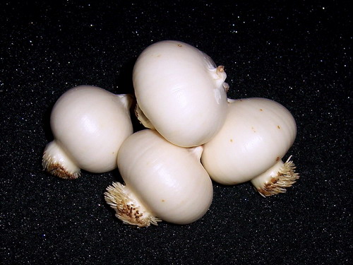 ��Ƭ 216(500B).jpg