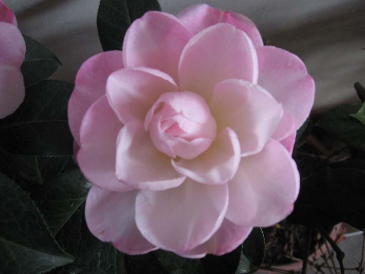 ��Ƭ 073.jpg