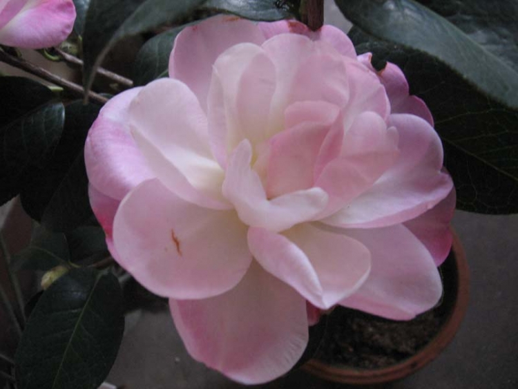 ��Ƭ 074.jpg