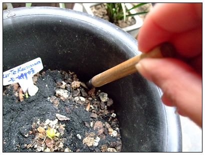 ��С��������������ʪ�ȡ�