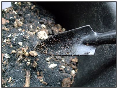 ������ɫ������Ŀǰ��ʪ�ȶ��ڶ������ߵ�С��Ӧ�øոպá�