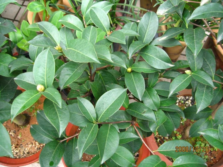 R �����Ϲ�-1.jpg