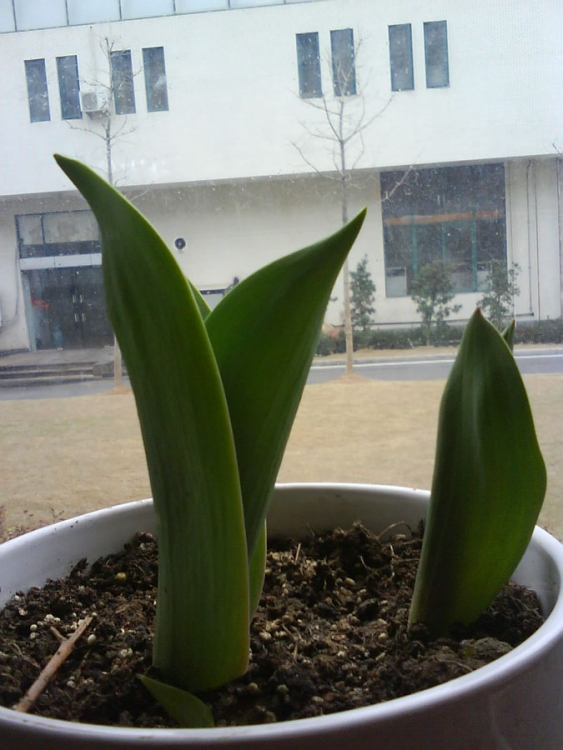 �������ϴ���϶���