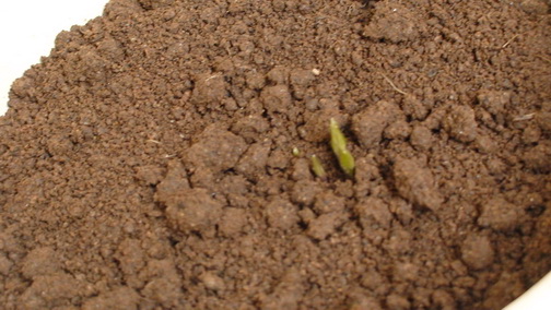 12-26��, ��������һ��ʱ������.