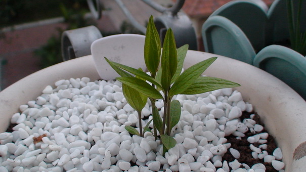 1-2��, ʮ���������