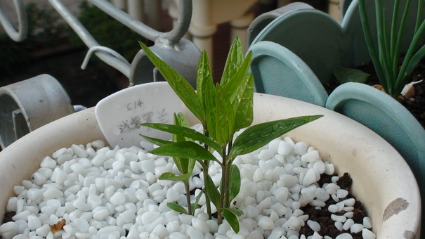 1-5��, 17��ʱ������