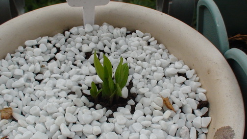 12-29��, ʮ��������