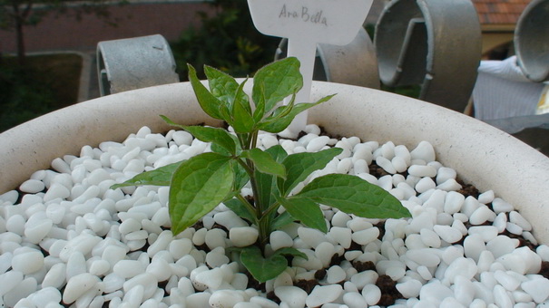 ʮ����ʱ������.