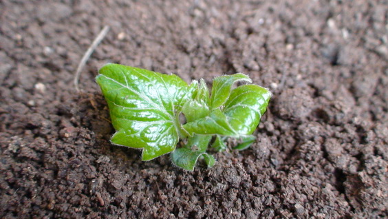 ʮ��ʱ������(12-29��)