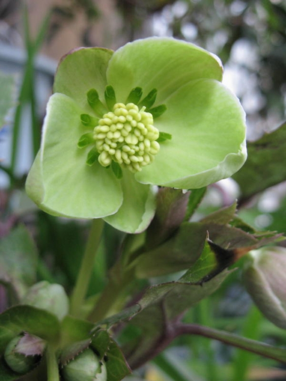 2009_01_05 002_1.jpg