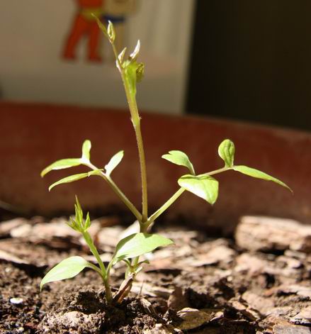 ������С 0104-2a.jpg