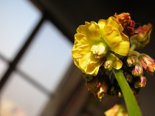 �Ӵ����쿪����������