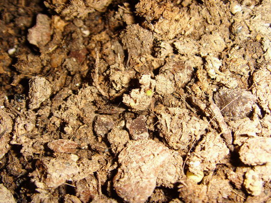 ���� SSL26902.jpg