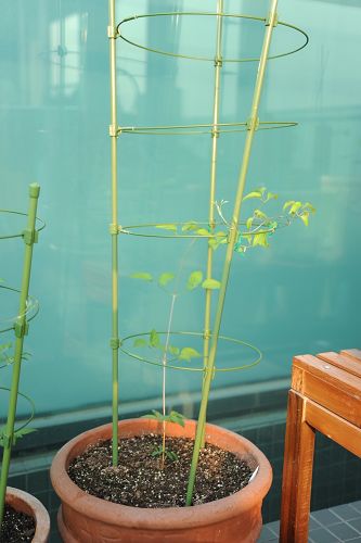 20090107�������� (1).JPG