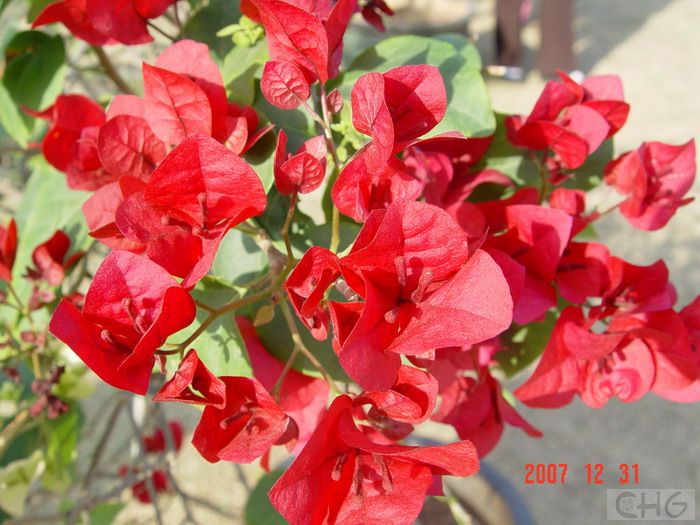 20080112_d72dc662ae2b50bc3aa90TuoN8aMKKhM.jpg