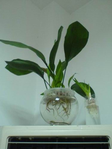 ������С DSC00598.JPG